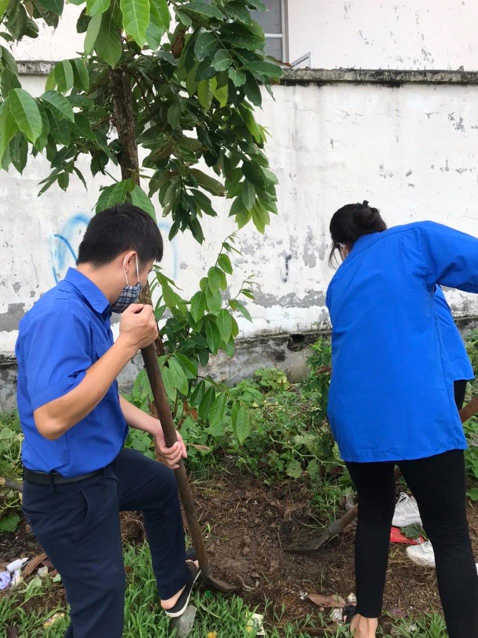 Hàng cây thanh niên