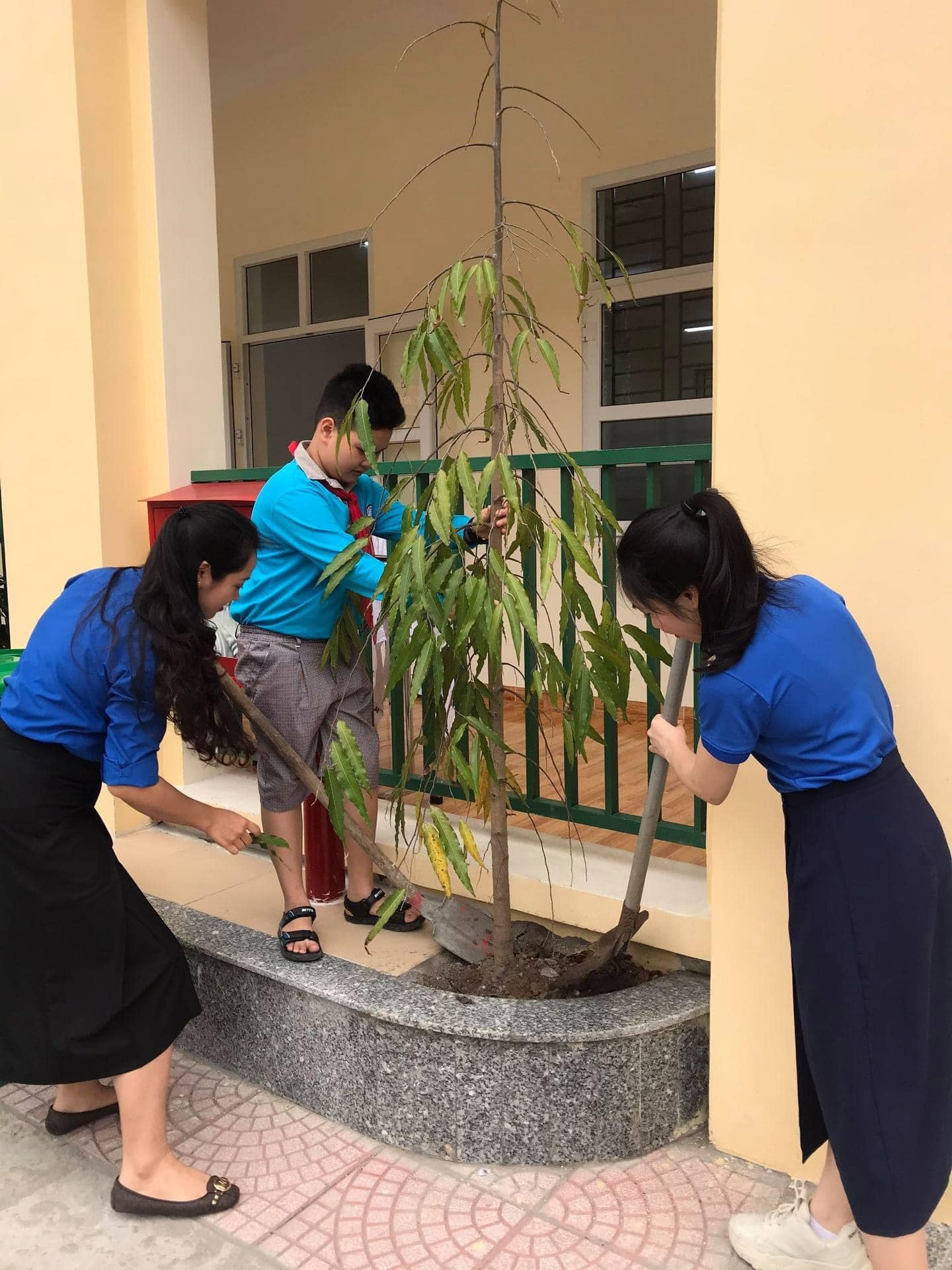 162485394 3871691809582114 7381801778310930462 n