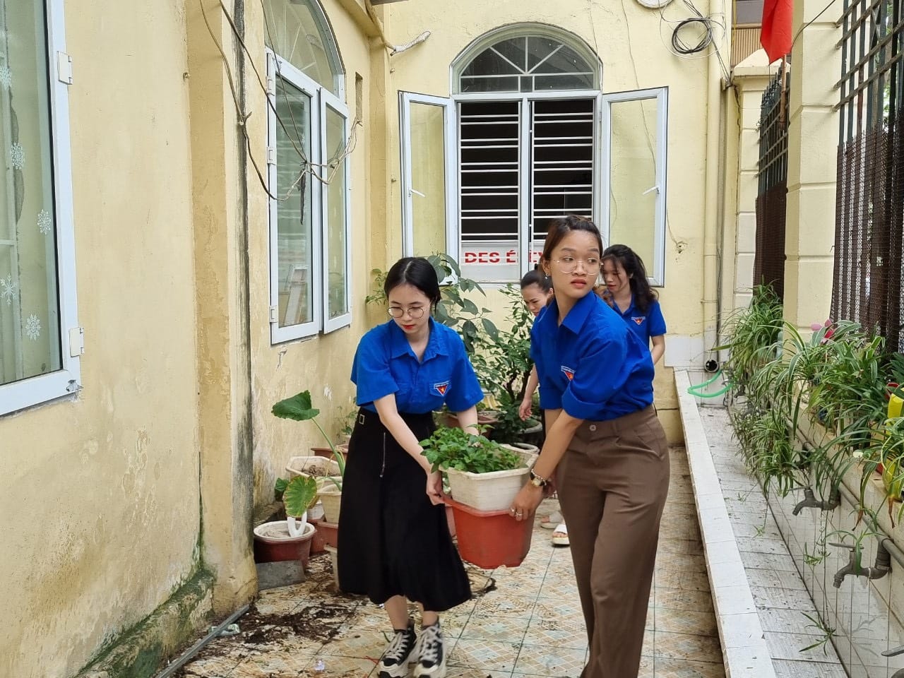 Tuổi trẻ Tiểu học Đinh Tiên Hoàng, quận Hồng Bàng ra quân Ngày chủ nhật xanh 23/7/2023